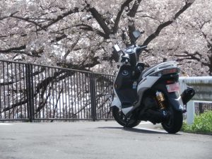 バスケスコーポレーション店長 河合 芳宏