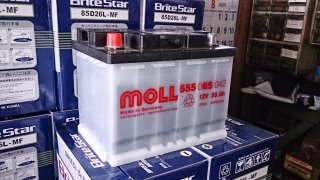 MOLL555-65obe[1