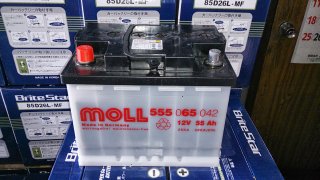 MOLL555-65obe[2